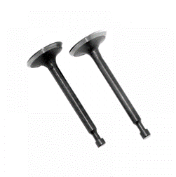 Valve Kit160F (GX120)